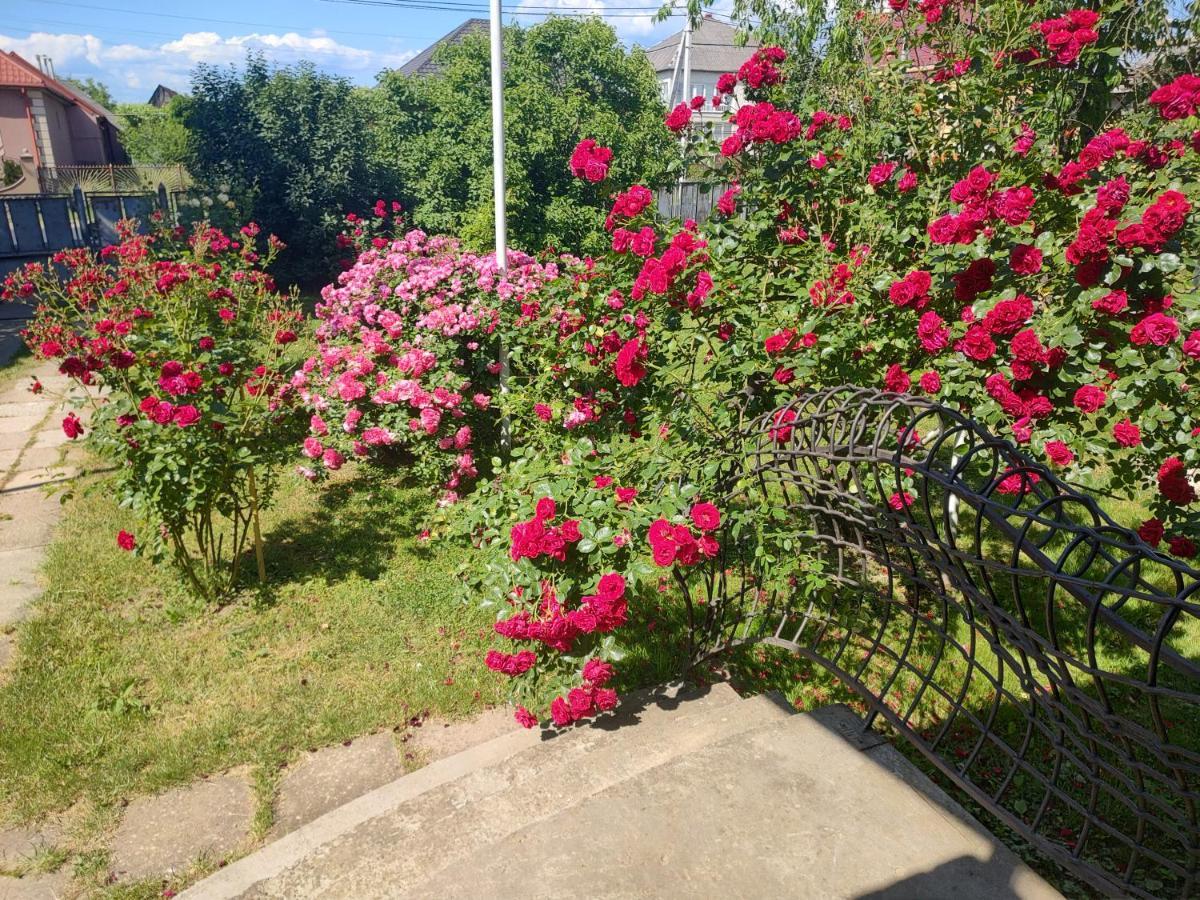 "Ранчо" - Тераса Квіти Сад Apartamento Uzhhorod Exterior foto